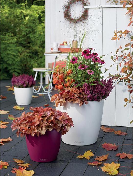 Produktbild Lechuza Classico Color (42 cm)