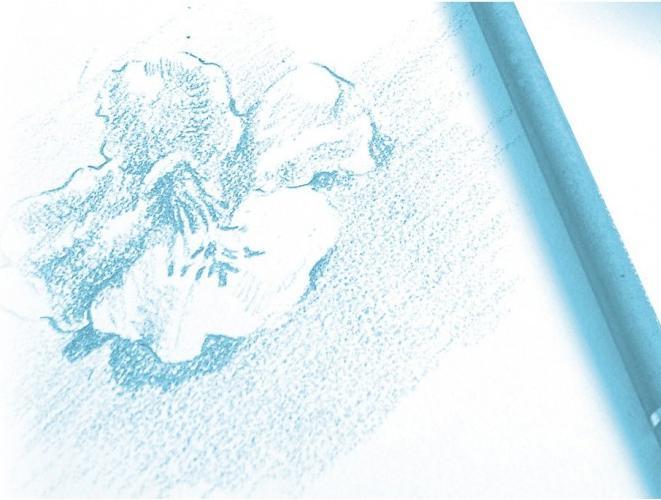 Image du produit Clairefontaine Techniques sèches (125 g/m², 240 x)
