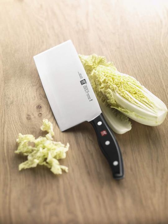 Actual product image Zwilling Twin Pollux (18.50 cm)