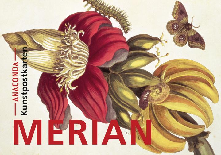 Image du produit Set de cartes postales Maria Sibylla Merian (20 pcs)