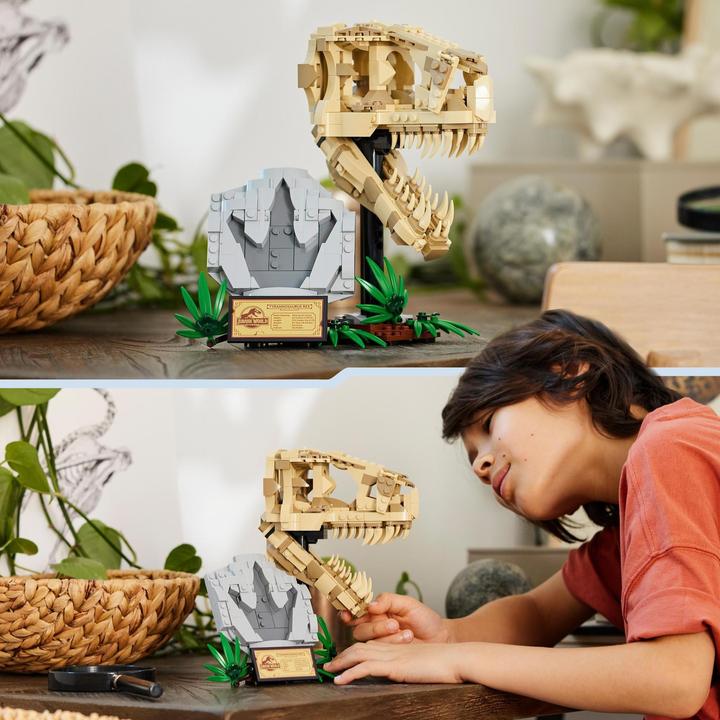 Actual product image LEGO Dinosaur fossils: T. rex head (76964, LEGO Jurassic World)