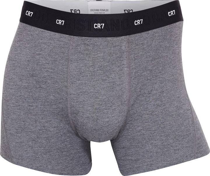 Image du produit CR7 Mens Trunk Bamboo 3-Pack (L, Lot de 3)