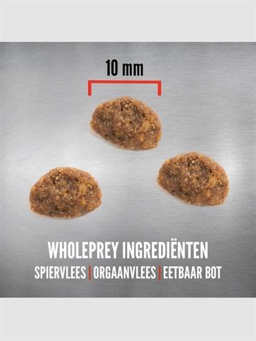 Produktbild Orijen Cat und Kitten (Adult, Junior, Welpe + Kitten, 1 Stk., 5400 g)