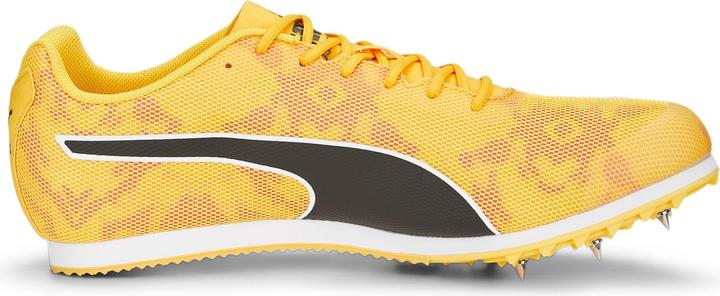 Image du produit Puma evoSPEED Star 8 (44)