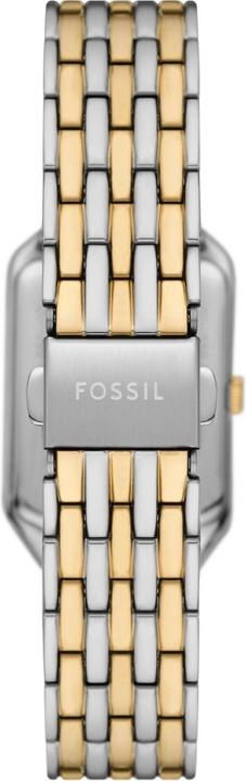 Actual product image Fossil Raquel (23 mm)