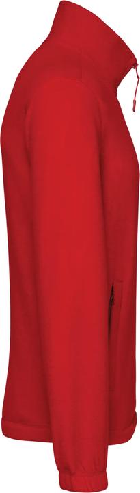 Rot