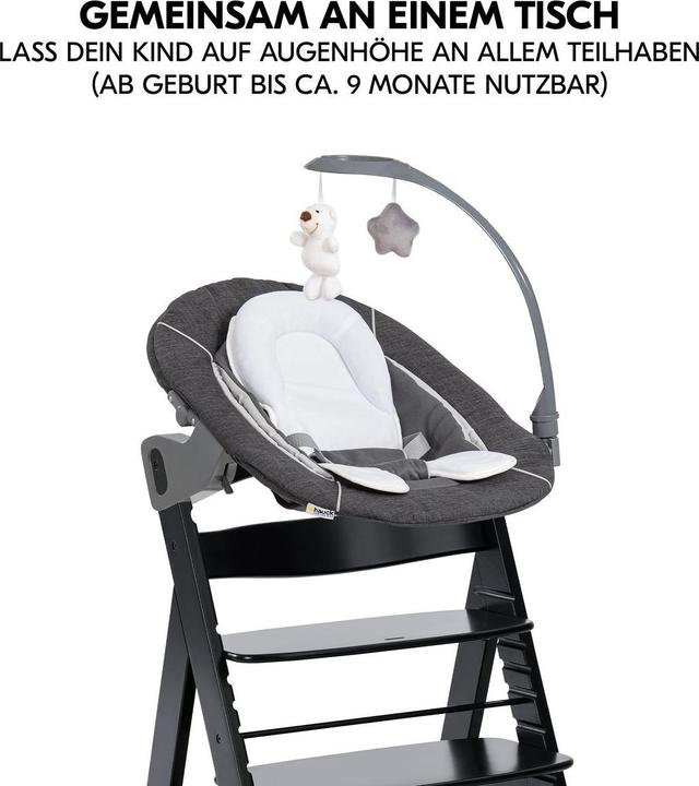 Actual product image Hauck Hochstühle Alpha Plus Black 4-tlg. Newborn Set Deluxe (Highchair)