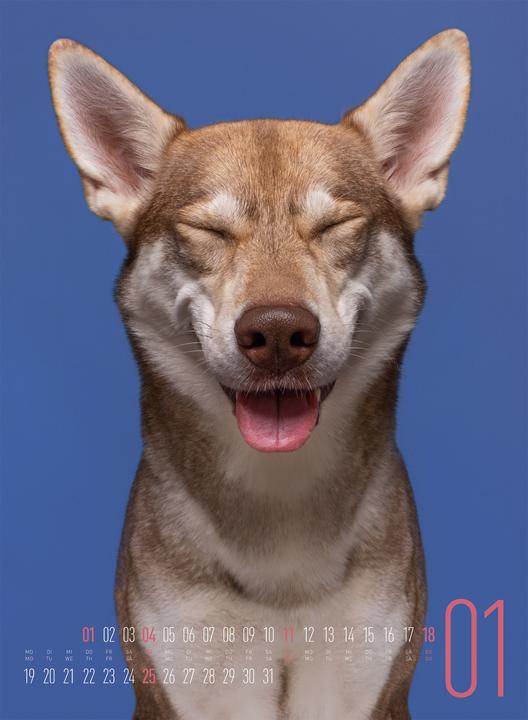 Actual product image Frei Schnauze - Kalender 2026 (33 x 45 cm, Hardcover, English, German)