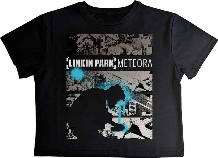 Linkin Park Meteora Drip Collage Crop Top (Girlie)