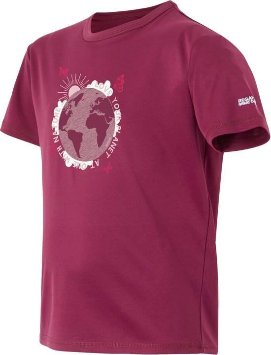 Produktbild Regatta Alvarado IX TShirt (164)