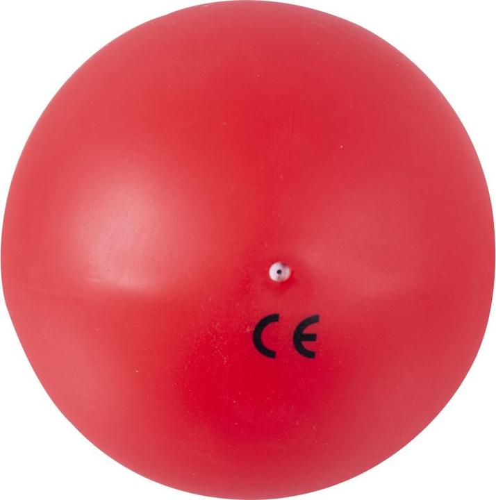 Actual product image Tanga Sports ® Gymnastikball Training