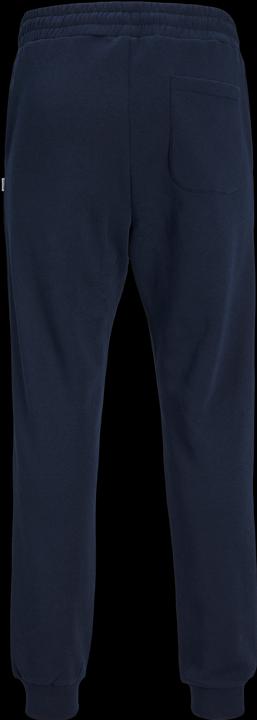 Actual product image Jack & Jones Gordon Bradley Sweatpants (M)