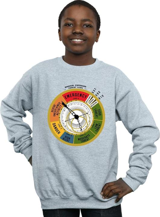 Actual product image Fantastic Beasts Boys Threat Level Sweatshirt (140, 146)