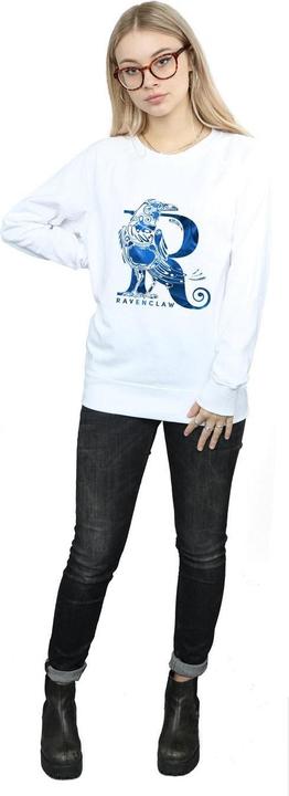 Actual product image Womens/Ladies Ravenclaw Raven Sweatshirt (XL)