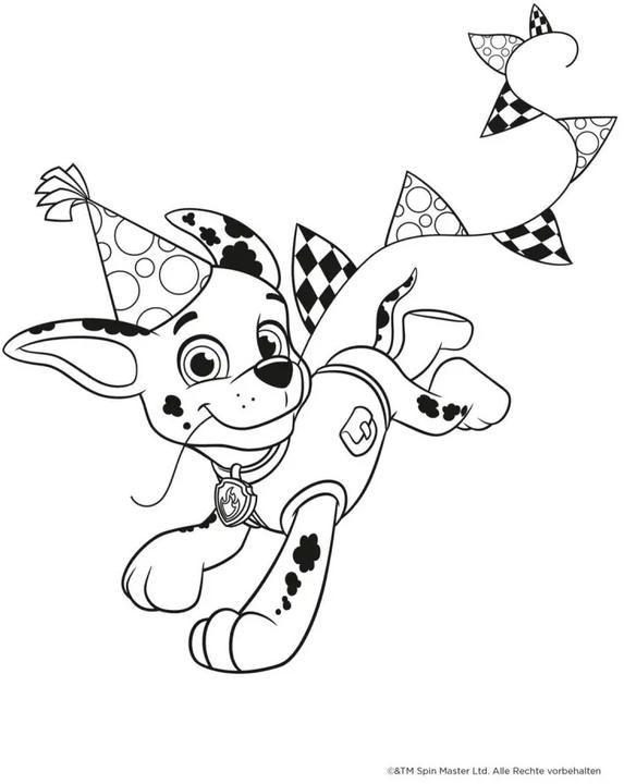Actual product image Paw Patrol