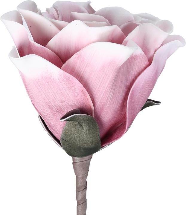 Produktbild EGLO LIVING Molave (65 cm)