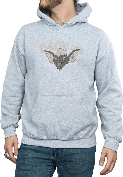 Produktbild Universal Textiles Kingston Falls Sport Kapuzenpullover (XL)