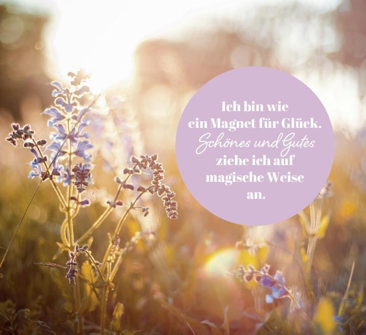 Produktbild Lichtblicke für die Seele (Deutsch, Groh Verlag, 2023)