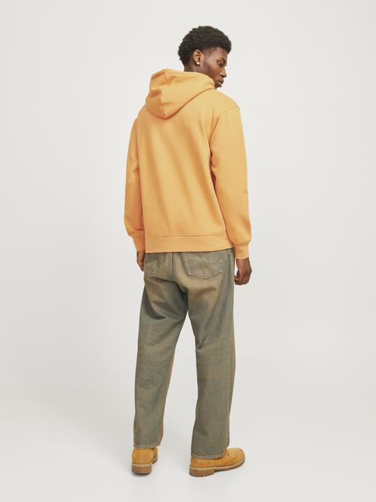 Actual product image Jack & Jones Jorvesterbro Sweat Hood Noos (XXS)