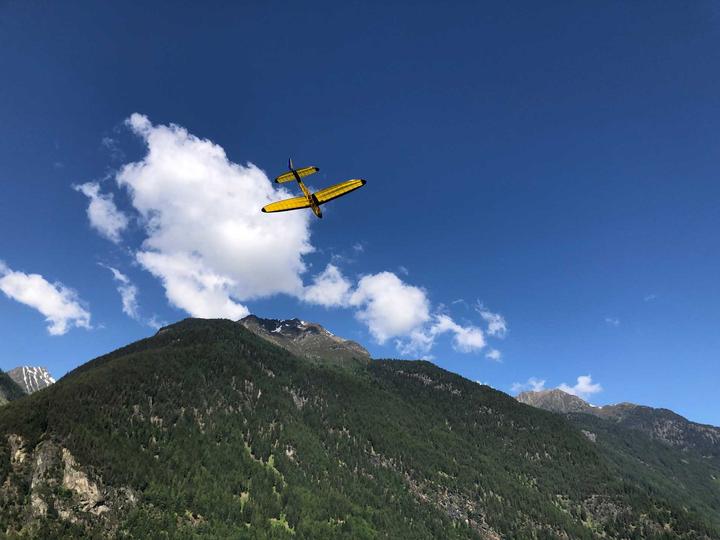 Immagine prodotto Pichler Kobold (kit di balsa tagliata al laser) / 2600 mm (Aliante)