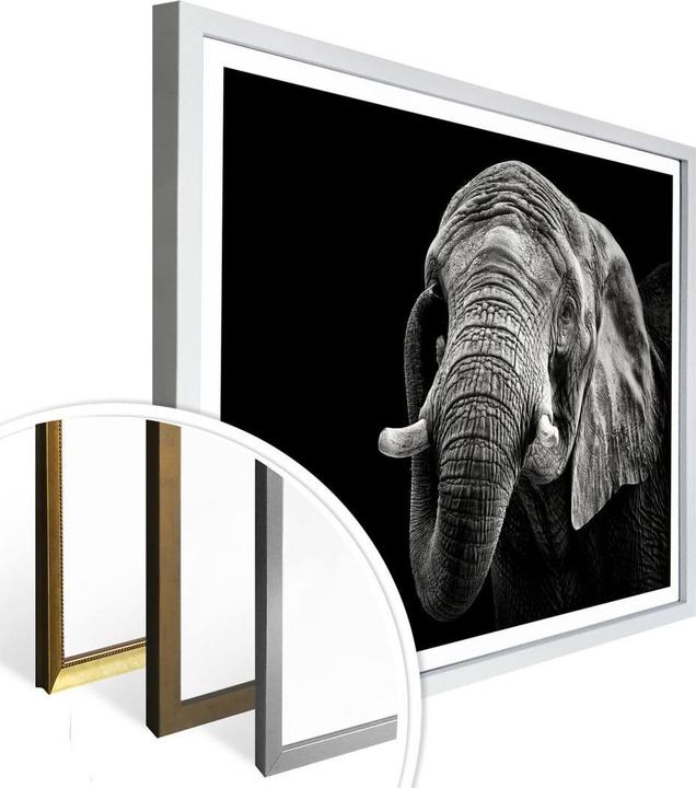 Image du produit Trenddeko L'éléphant (50 x 40 cm)