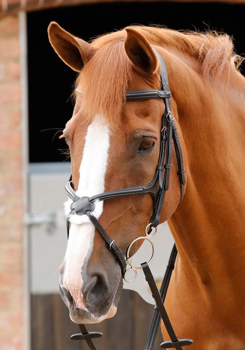 Actual product image Premier Equine Glorioso bridle