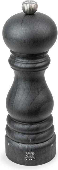 Actual product image Peugeot Paris U-Select (Salt)