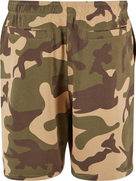 Image du produit Urban Classics Short Easy Camo - 161161 (L)
