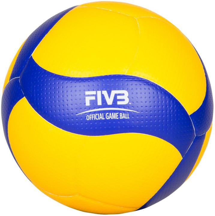 Image du produit Mikasa ® Volleyball V200W-DVV (5)