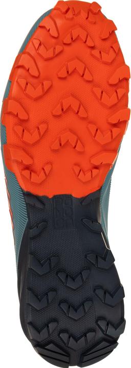 Actual product image Dynafit Traverse (39)