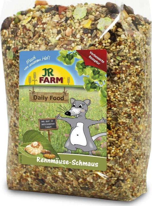 Actual product image JR Farm Gerbils feast (0.60 kg, 1 x)