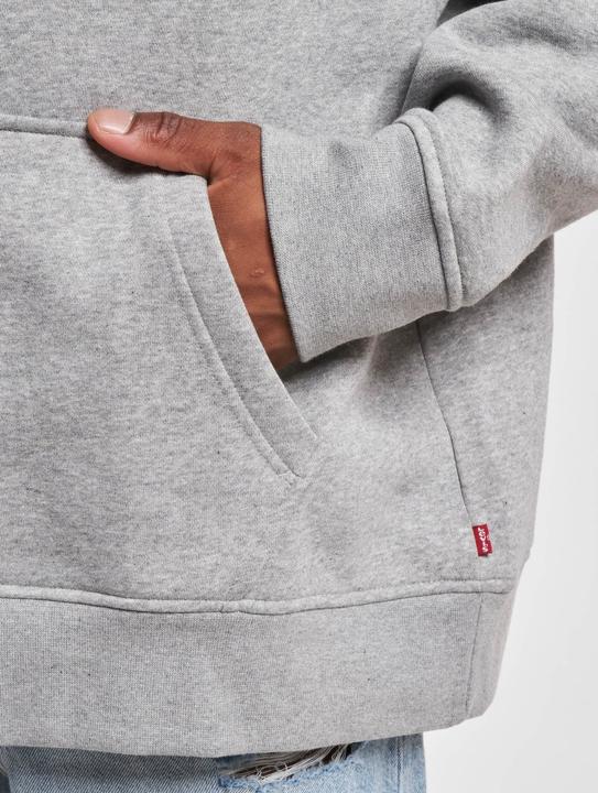Actual product image Levis Relaxed Graphic Hoodie - 127125 (M)