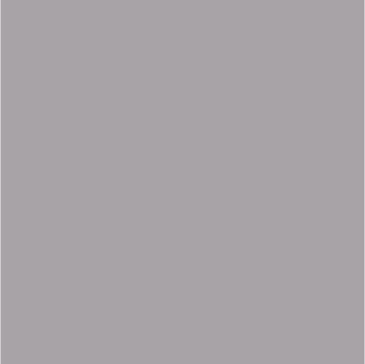 Immagine prodotto Savage Sfondo 1,35 x 11 m grigio fumo (135 cm, 1100 cm)