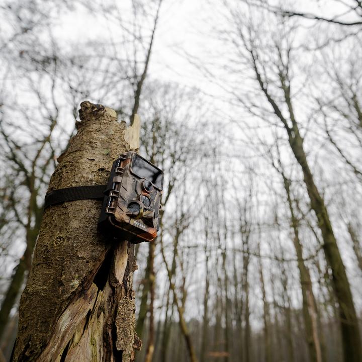 Produktbild Caruba Wildcamera Moose 4K