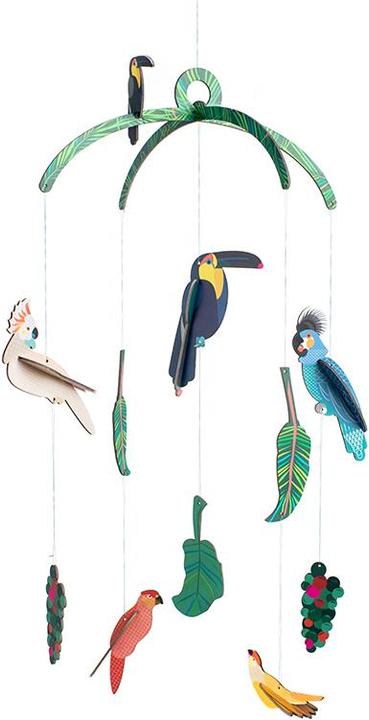 Studio Roof exotic birds