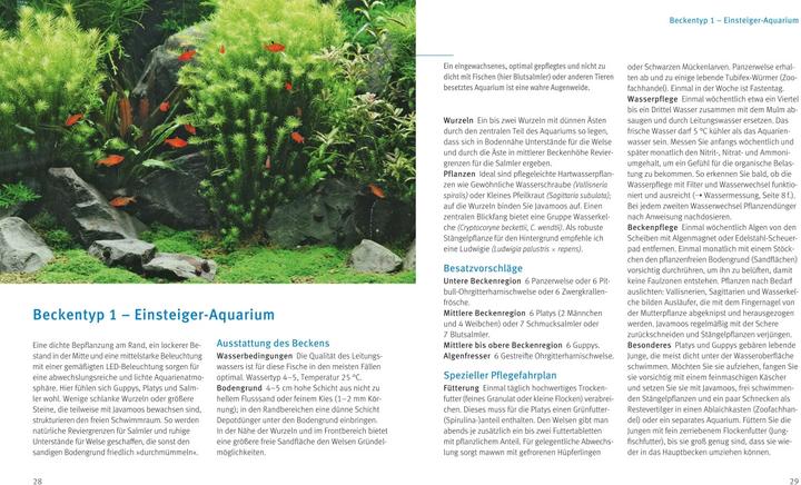 Produktbild Kleine Aquarien (Deutsch, Ulrich Schliewen, 2016)