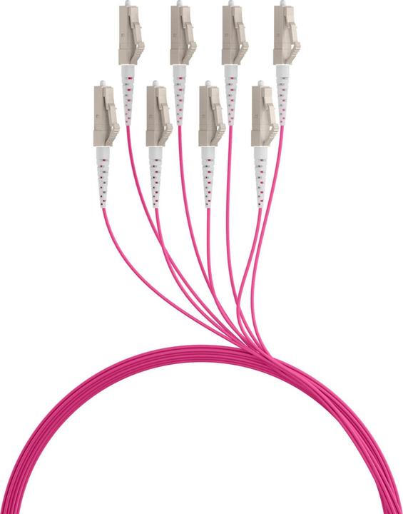 Actual product image EFB Elektronik Trunk cable U-DQ ZN BH OM4 8G 1x8 LC-LC 90m Dca LSZH (90 m)