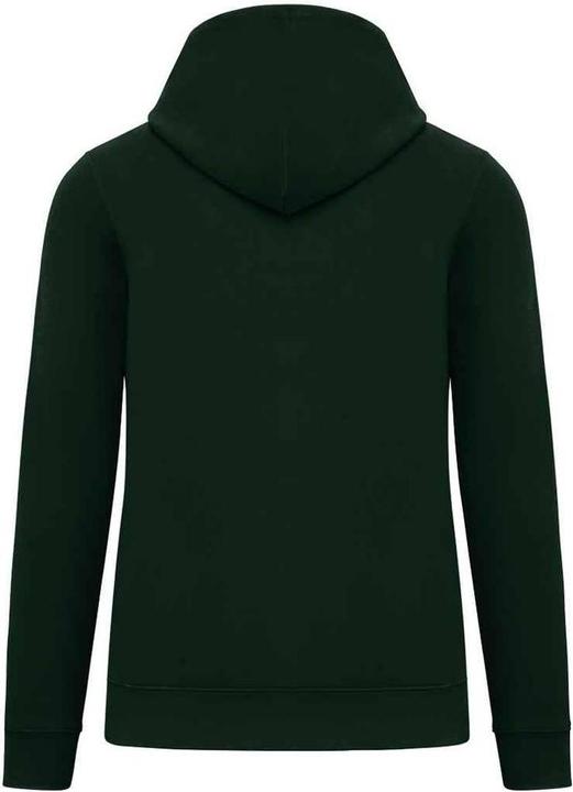 Image du produit Native Spirit - Sweat à capuche - Adulte (3XL)