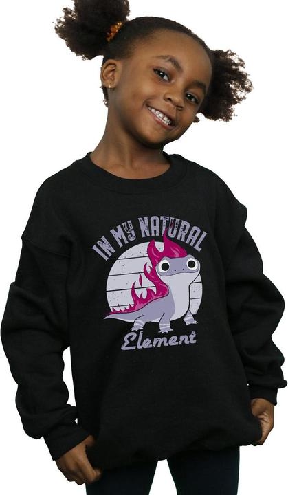 Immagine prodotto Disney Frozen 2 Salamander Bruni Element Felpa Ragazze (140, 146)