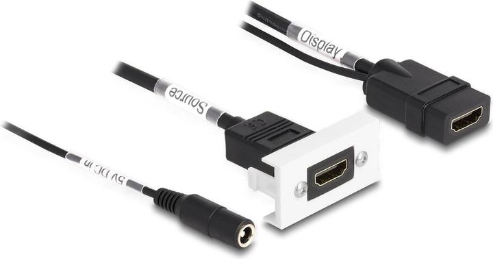 Delock Adapter Easy45 4K60Hz HDMI-A - HDMI-A/Strombuchse (0.23 m, HDMI)
