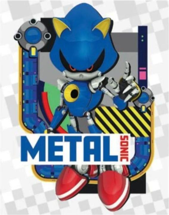 Actual product image Panini Sonic the Hedgehog Sticker Collection Album *German Version*