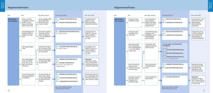 Immagine prodotto Maxi-Quickfinder Schüssler-Salze (Tedesco, Guenther H. Heepen, 2015)