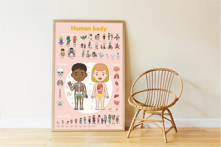 Immagine prodotto Poppik Poster didattico con adesivi sul corpo umano