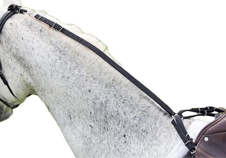 Image du produit Shires Rênes Pâquerettes