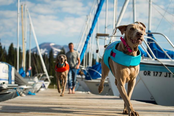 Produktbild Ruffwear Float Coat Hundeschwimmweste (L, Hundeweste)