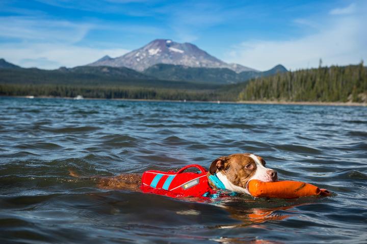 Produktbild Ruffwear Float Coat Hundeschwimmweste (L, Hundeweste)