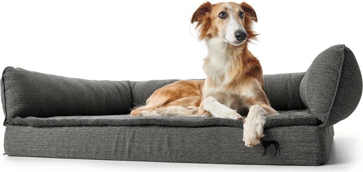 Actual product image Hunter Livingston (Dog)