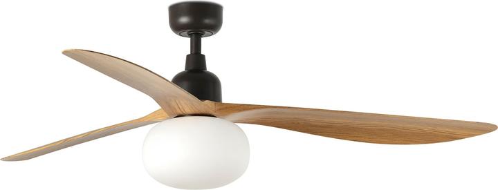 Faro Outdoor DC Deckenventilator Outwood BR-EI mit Licht