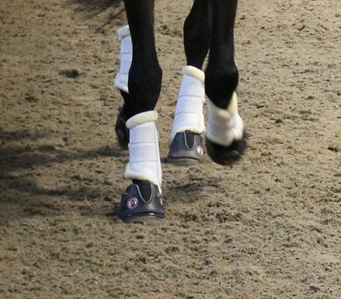 Produktbild Equine Fusion Hufschuh Active paar
