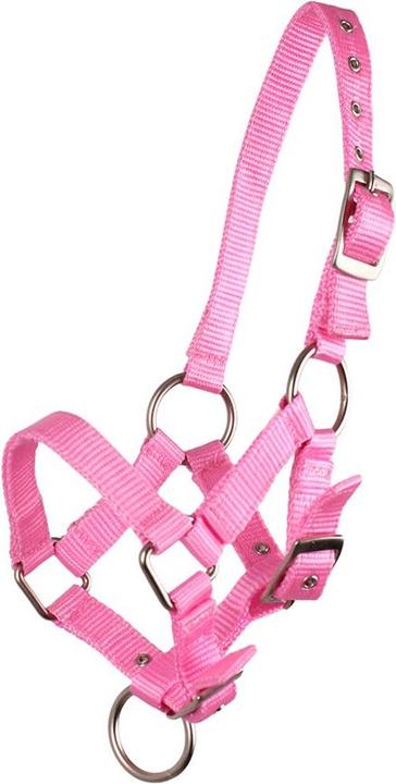 Qhp Foal halter